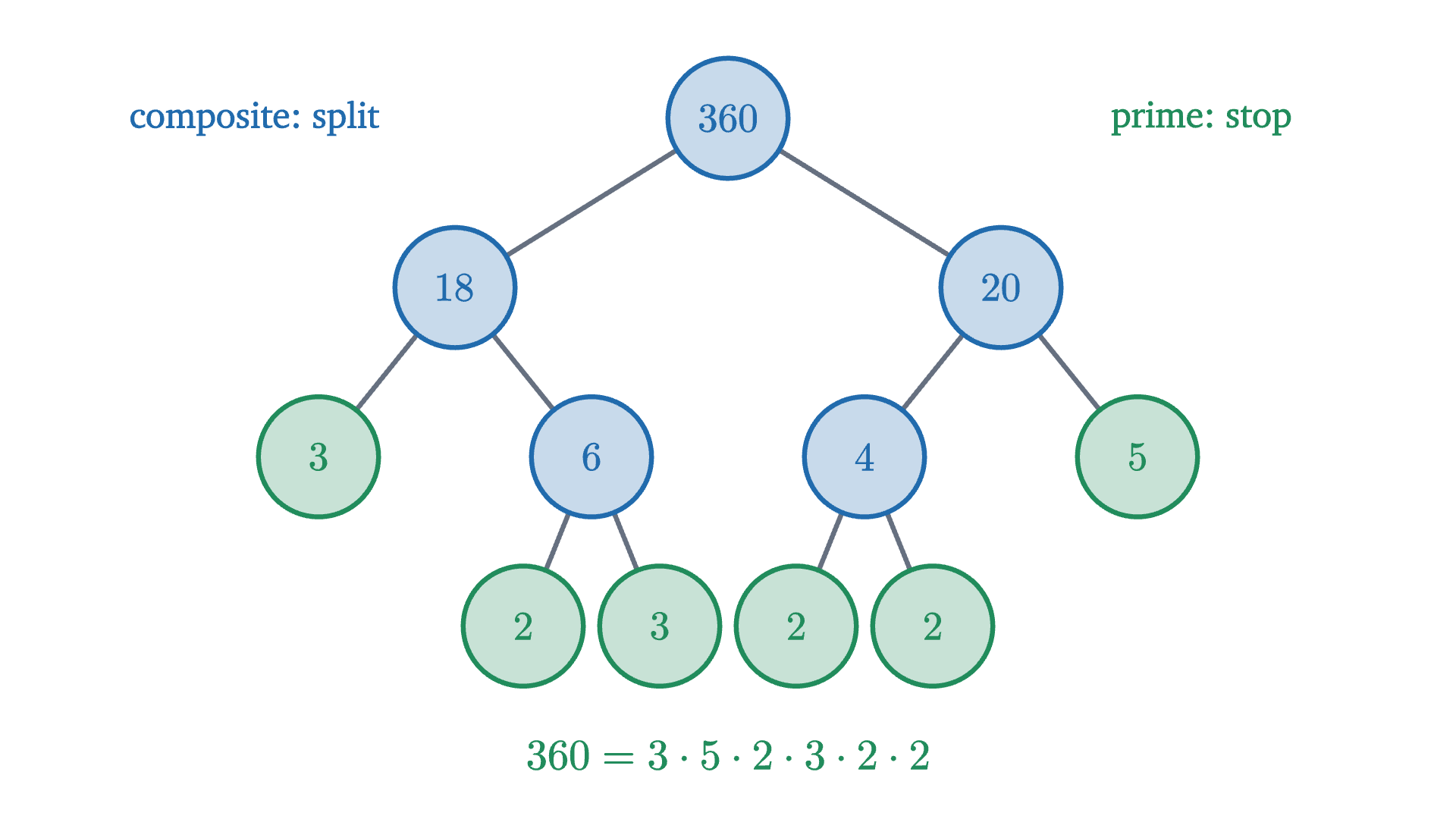 Factoring 360 by splitting. A composite number is written as a product of two smaller numbers, and each of those is treated the same way. Every branch stops at a prime, and the primes at the ends multiply to 360.