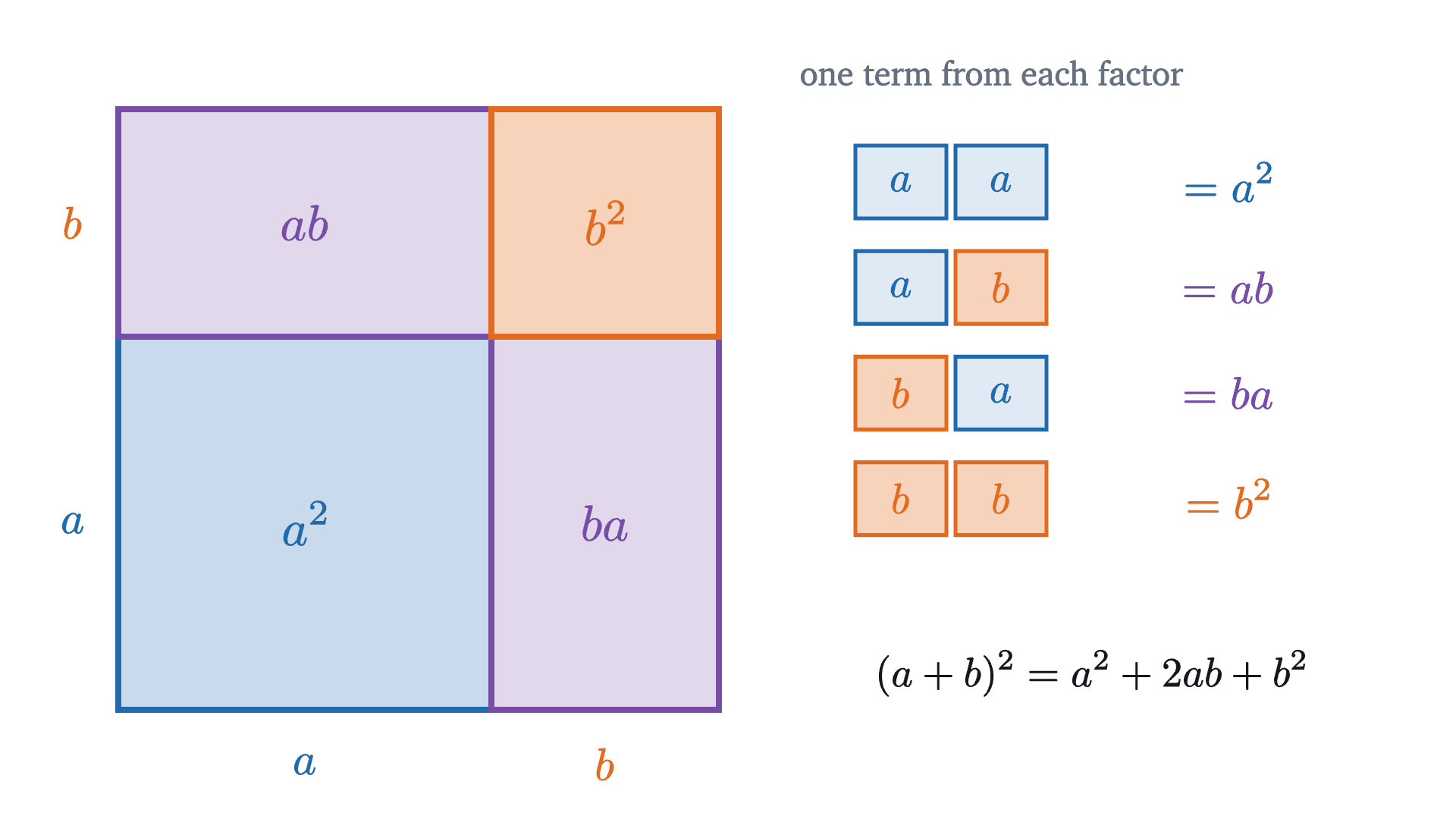A square of side a + b cut into four parts. Each part is the product of one term from the first factor and one term from the second. The two rectangles ab and ba are equal, which is where the coefficient 2 in a^2 + 2ab + b^2 comes from.