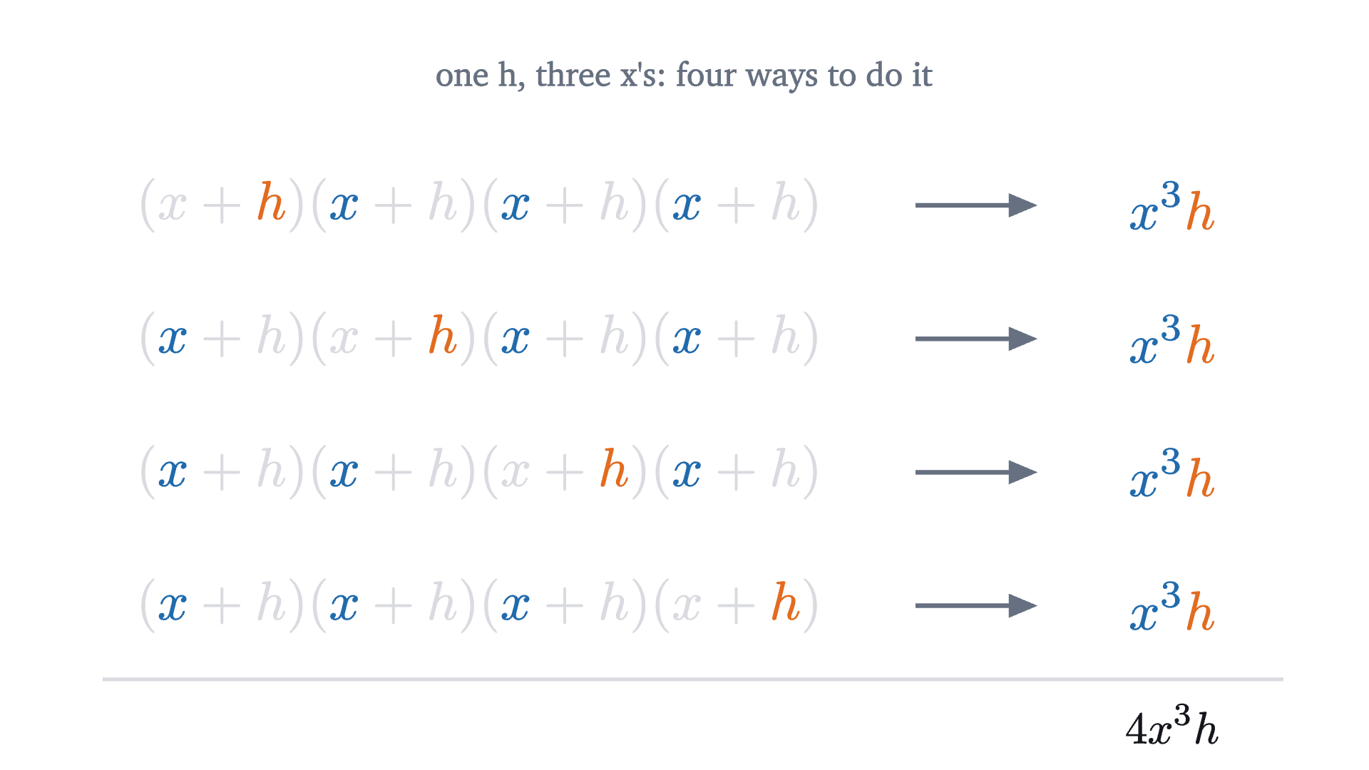 The four ways to take h from exactly one bracket of (x+h)^4. Each gives x^3 h, so together they contribute 4x^3 h. Every other choice has at least two factors of h.