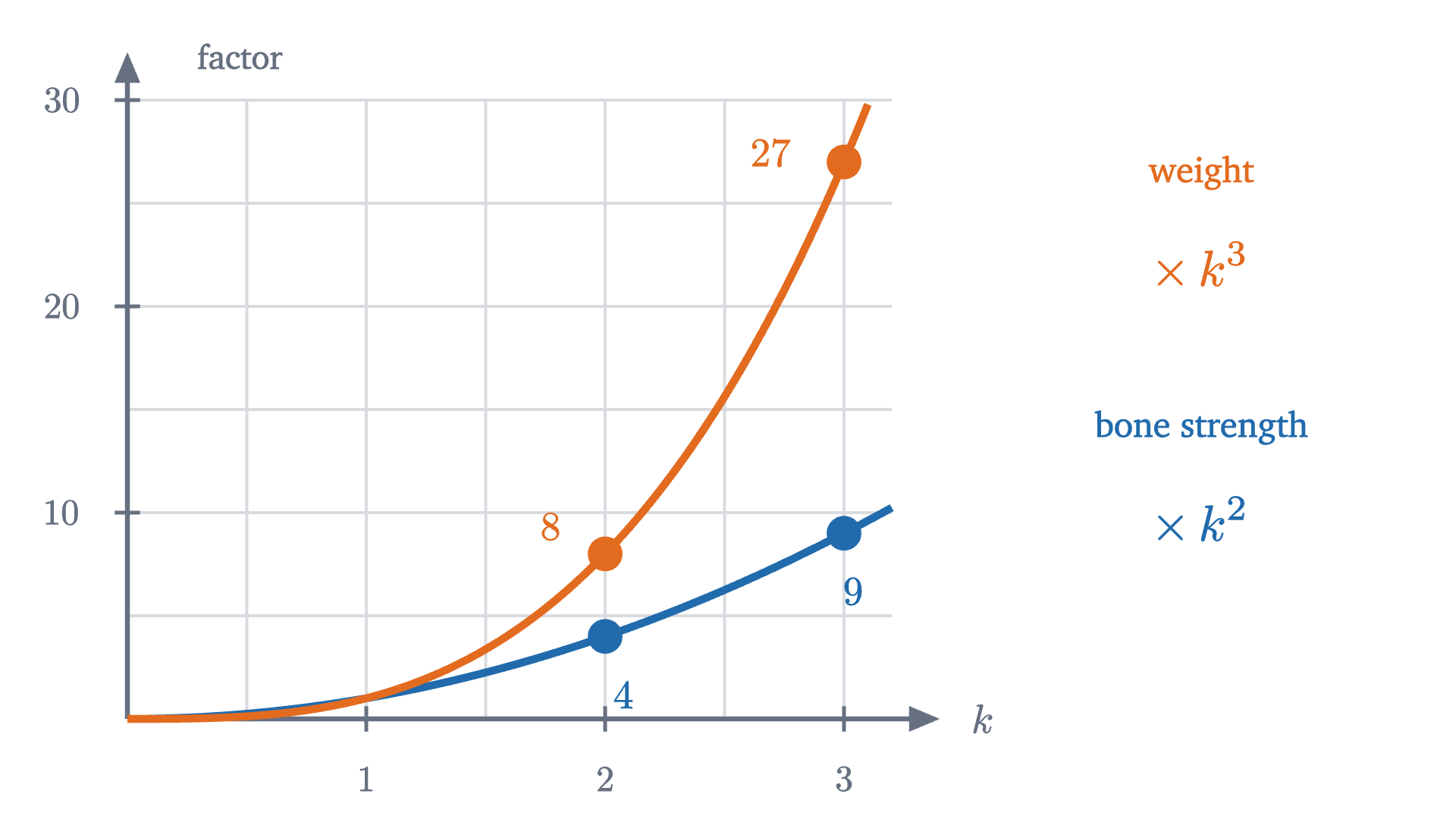 The factors k^2 and k^3 plotted against the scale factor k. At k = 3 strength has grown 9 times and weight 27 times.