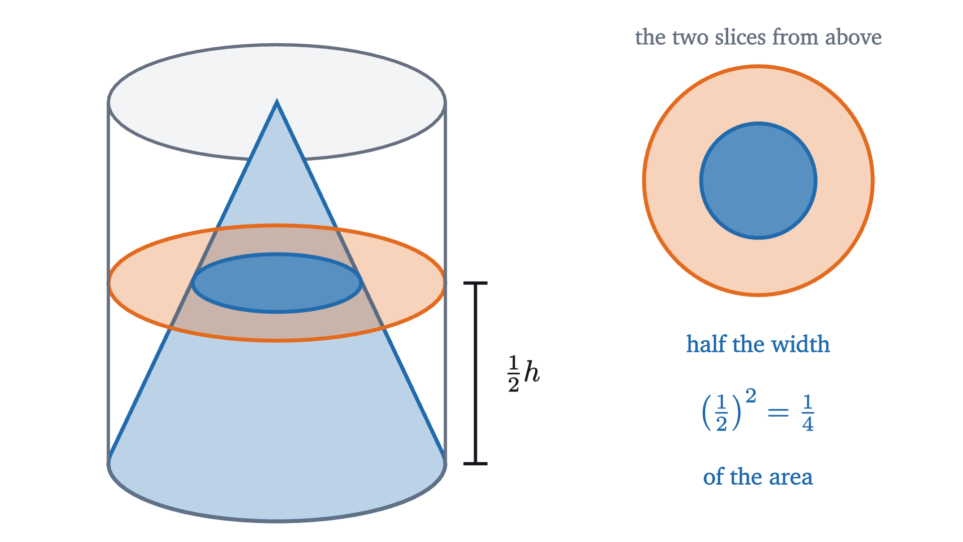 A cone inside a cylinder, cut by a plane at half their height. The slice of the cone is a disc half as wide as the slice of the cylinder, so it has only a quarter of the area.